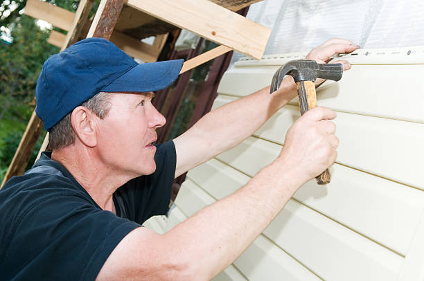 Affordable Siding Repair and Maintenance Services in Marlette, MI